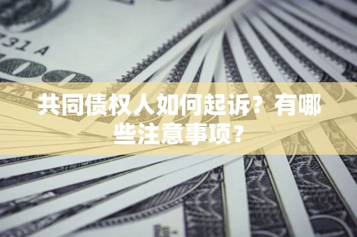 济南共同债权人如何起诉？有哪些注意事项？